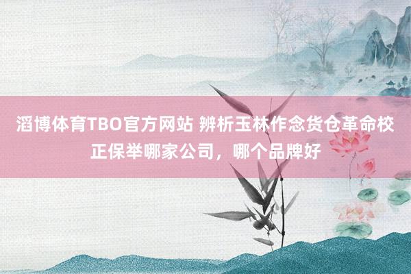 滔博体育TBO官方网站 辨析玉林作念货仓革命校正保举哪家公司，哪个品牌好