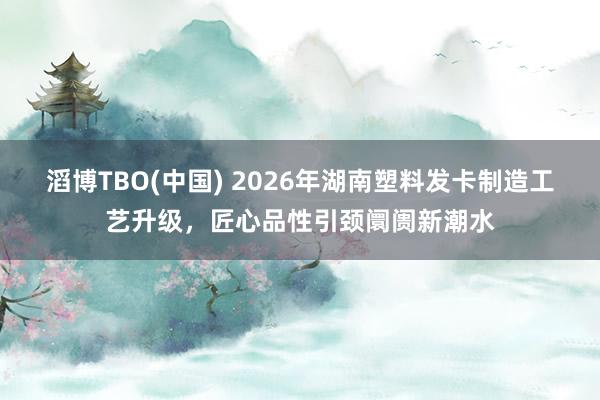 滔博TBO(中国) 2026年湖南塑料发卡制造工艺升级，匠心品性引颈阛阓新潮水