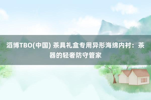 滔博TBO(中国) 茶具礼盒专用异形海绵内衬：茶器的轻奢防守管家