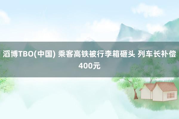 滔博TBO(中国) 乘客高铁被行李箱砸头 列车长补偿400元