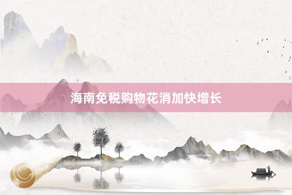 海南免税购物花消加快增长