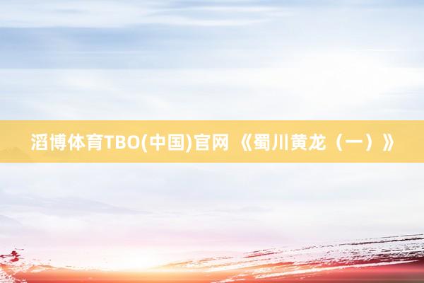 滔博体育TBO(中国)官网 《蜀川黄龙（一）》