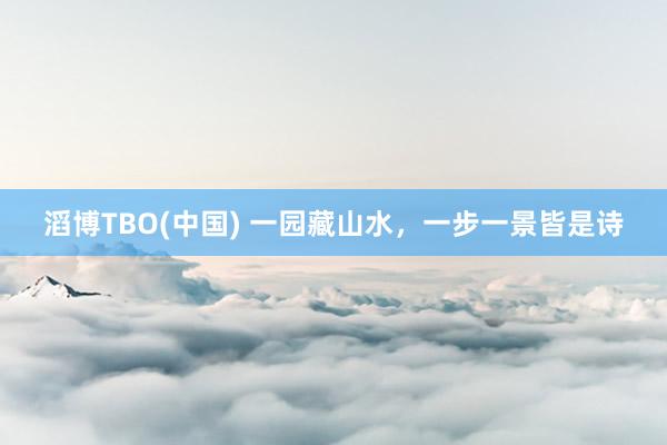 滔博TBO(中国) 一园藏山水，一步一景皆是诗