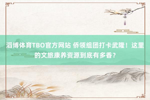 滔博体育TBO官方网站 侨领组团打卡武隆！这里的文旅康养资源到底有多香？
