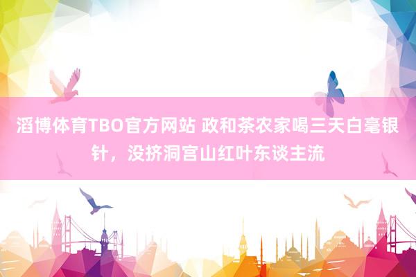 滔博体育TBO官方网站 政和茶农家喝三天白毫银针，没挤洞宫山红叶东谈主流