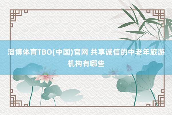 滔博体育TBO(中国)官网 共享诚信的中老年旅游机构有哪些