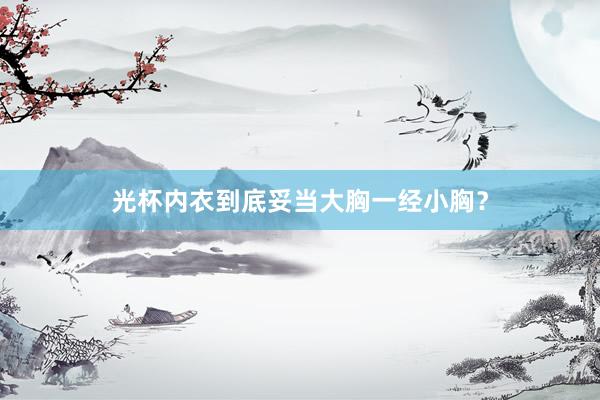 光杯内衣到底妥当大胸一经小胸？