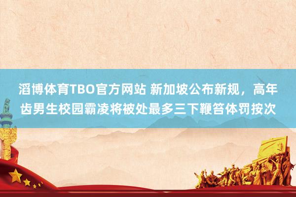 滔博体育TBO官方网站 新加坡公布新规，高年齿男生校园霸凌将被处最多三下鞭笞体罚按次