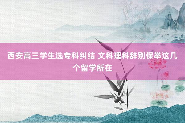 西安高三学生选专科纠结 文科理科辞别保举这几个留学所在