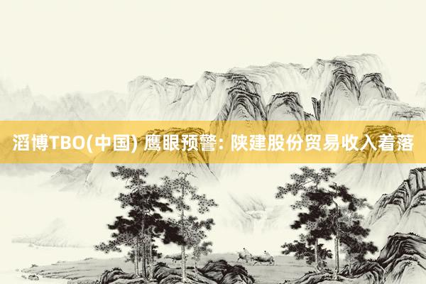滔博TBO(中国) 鹰眼预警: 陕建股份贸易收入着落