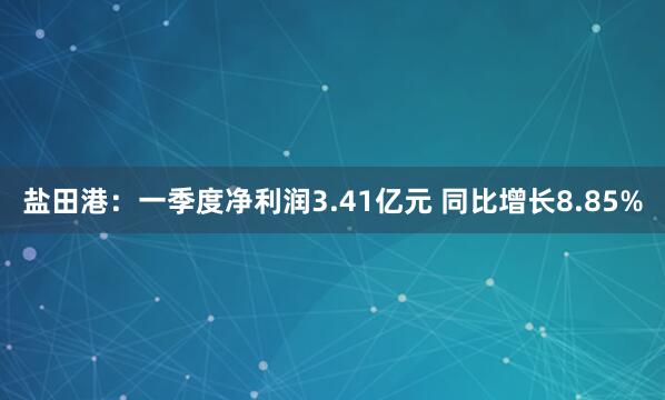 盐田港：一季度净利润3.41亿元 同比增长8.85%
