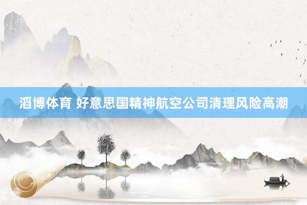 滔博体育 好意思国精神航空公司清理风险高潮