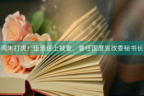 周末打虎！伍浩任上被查，曾任国度发改委秘书长