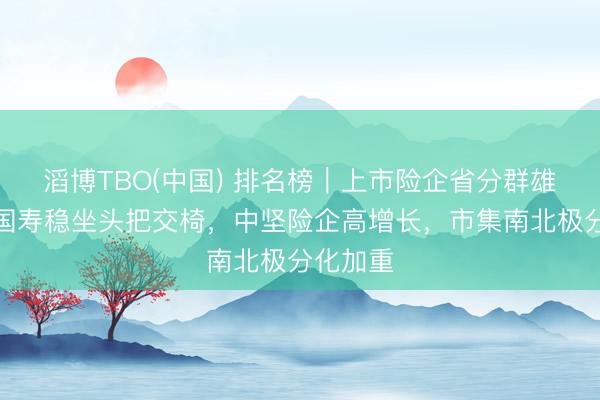 滔博TBO(中国) 排名榜｜上市险企省分群雄争霸，国寿稳坐头把交椅，中坚险企高增长，市集南北极分化加重